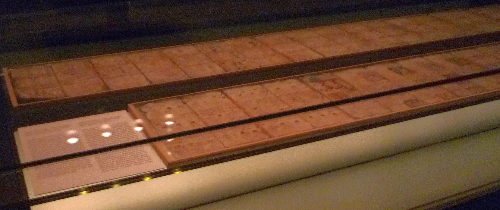 Dresden Codex:玛雅留下的最后一本书